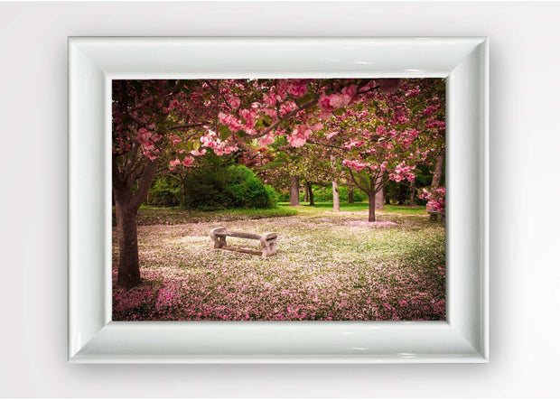 Quadro Incorniciato Pink Park Multicolore & OYOTR-5BC2567538 & OYOTR-5BC2567538 & OYOTR-5BC2567538