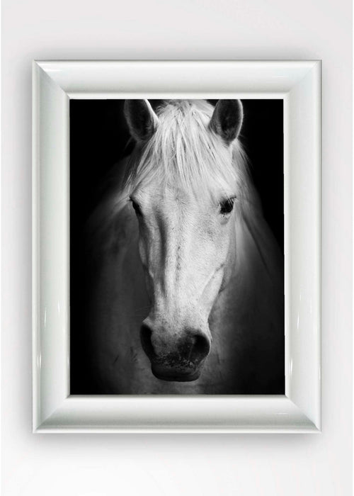 Quadro Incorniciato Pure Horse Multicolore & OYOTR-5BC6290461 & OYOTR-5BC6290461 & OYOTR-5BC6290461