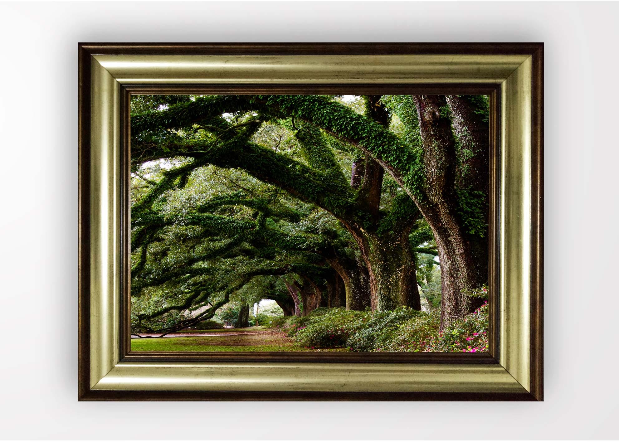 Quadro Incorniciato Savannah Tree Multicolore & OYOTR-5BA2141251 & OYOTR-5BA2141251