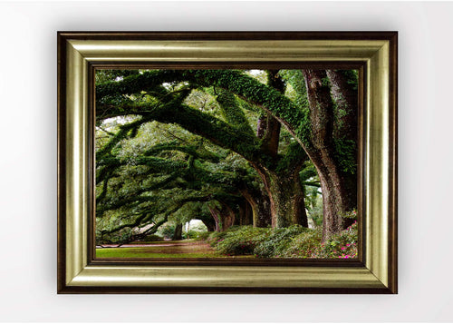 Quadro Incorniciato Savannah Tree Multicolore & OYOTR-5BA2141251 & OYOTR-5BA2141251