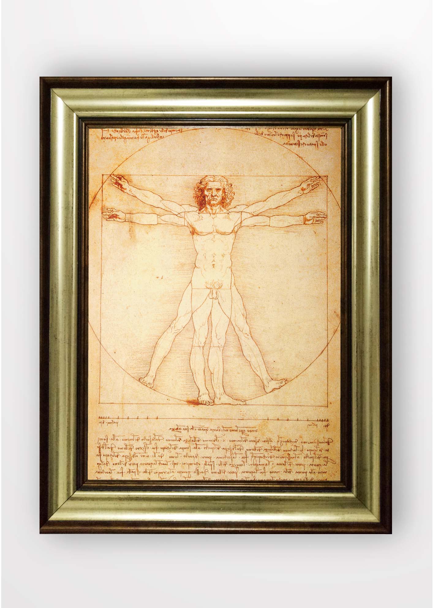 Quadro Incorniciato Vitruvian Man III Multicolore & OYOTR-5BA10262981 & OYOTR-5BA10262981
