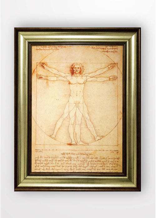 Quadro Incorniciato Vitruvian Man III Multicolore & OYOTR-5BA10262981 & OYOTR-5BA10262981