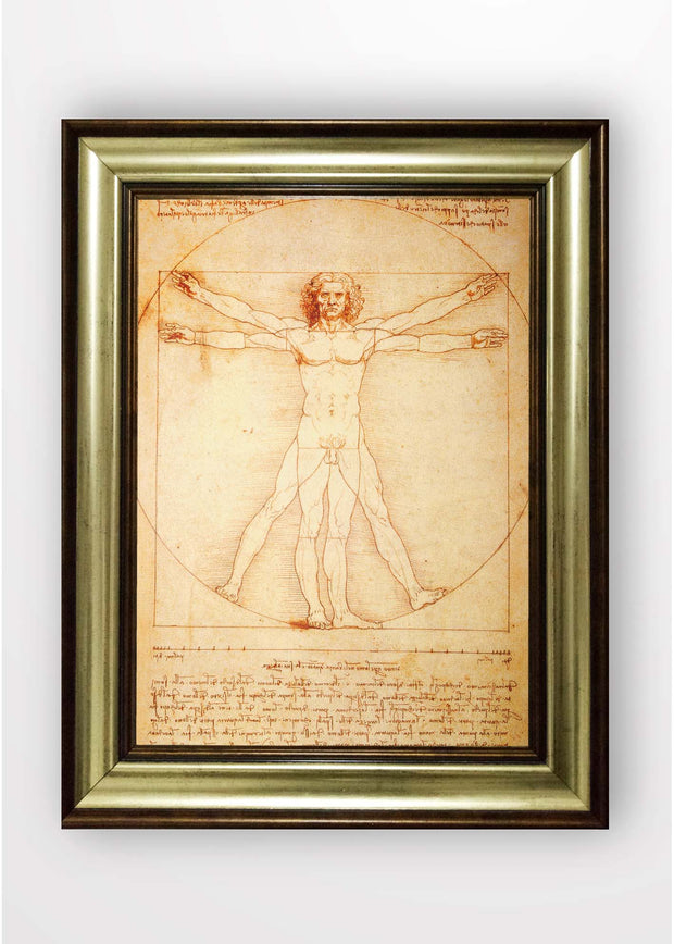 Quadro Incorniciato Vitruvian Man III Multicolore & OYOTR-5BA10262981 & OYOTR-5BA10262981