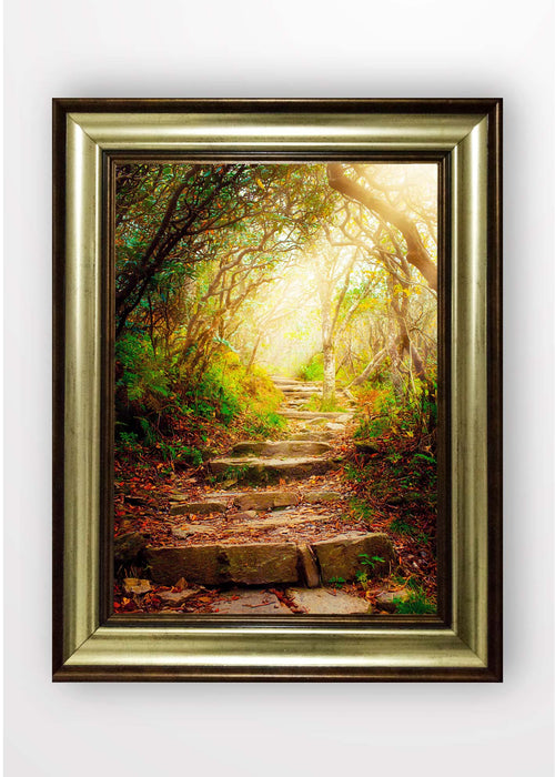 Quadro Incorniciato Wood Path Multicolore & OYOTR-5BA3082694 & OYOTR-5BA3082694 & OYOTR-5BA3082694