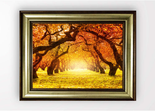 Quadro Incorniciato Yellow Field Multicolore & OYOTR-5BA34148 & OYOTR-5BA34148 & OYOTR-5BA34148
