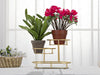 S/Tasche 3 Levels -B- cm 36x22,5x27