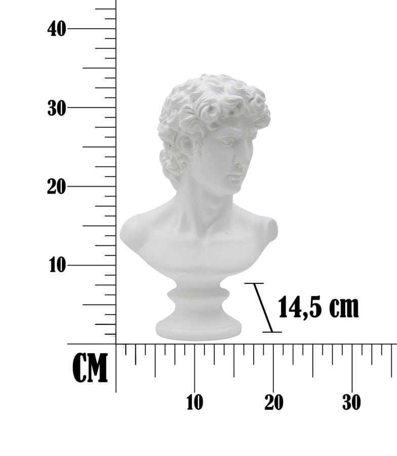 Scultura Roman cm 21,5x14,5x34 (6)