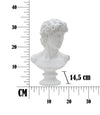 Scultura Roman cm 21,5x14,5x34 (6)