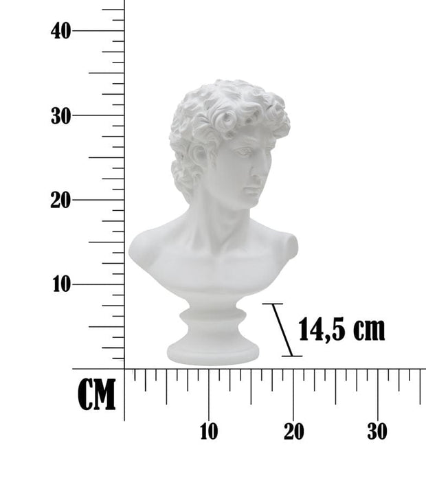 Scultura Roman cm 21,5x14,5x34 (6)