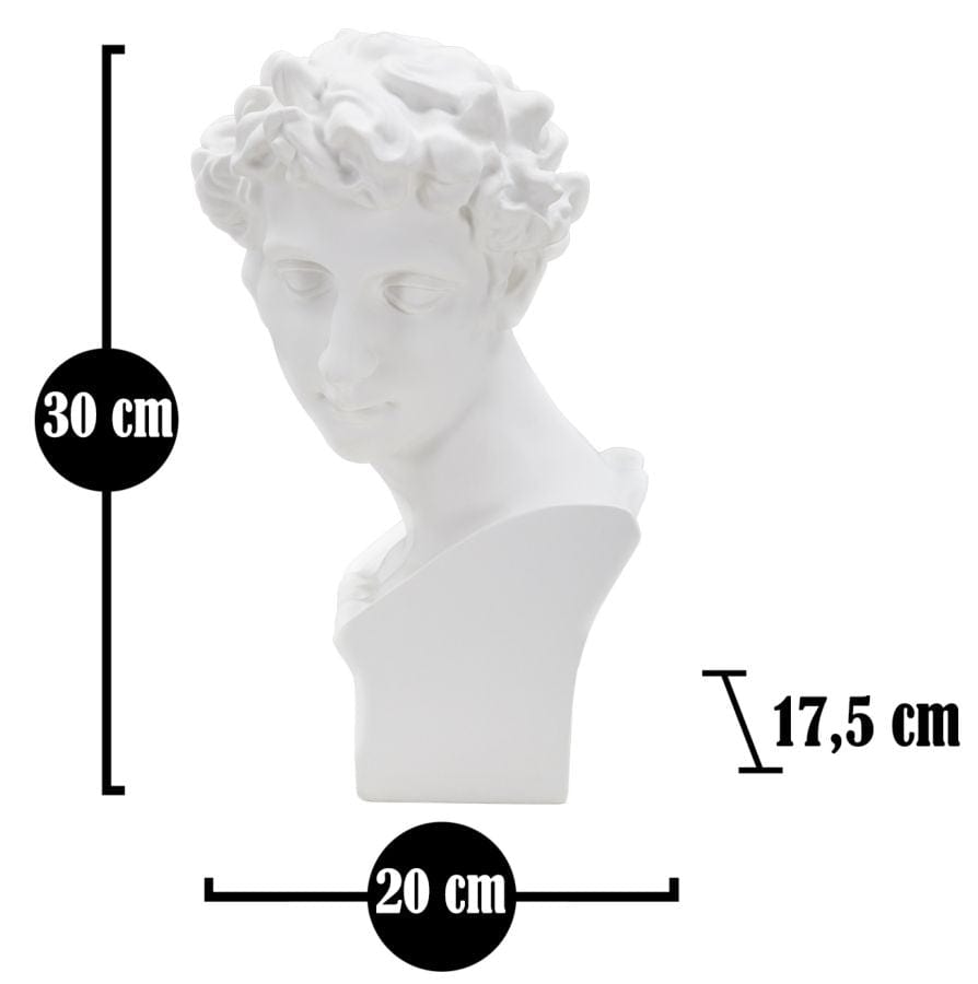 Scultura Roman Young cm 20x17,5x30 (5)