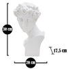 Scultura Roman Young cm 20x17,5x30 (5)