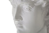 Scultura Testa Antica Bianca cm 44x35,5x60 (3)