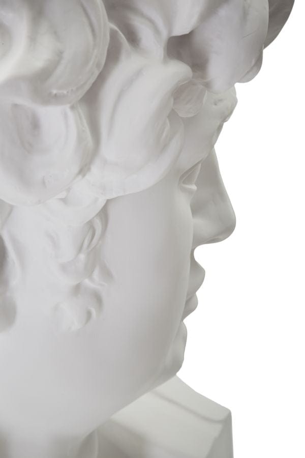 Scultura Testa Antica Bianca cm 44x35,5x60 (4)