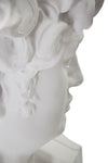 Scultura Testa Antica Bianca cm 44x35,5x60 (4)