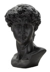 Scultura Testa Antica Nera cm 44x35,5x60