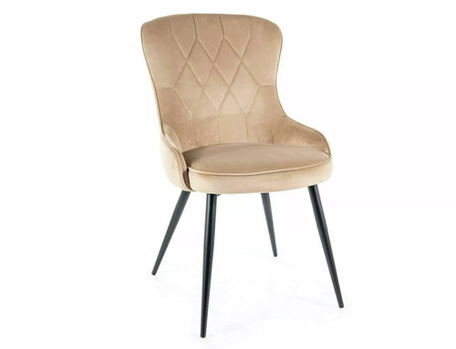 Sedia da pranzo in velluto Lotus Beige