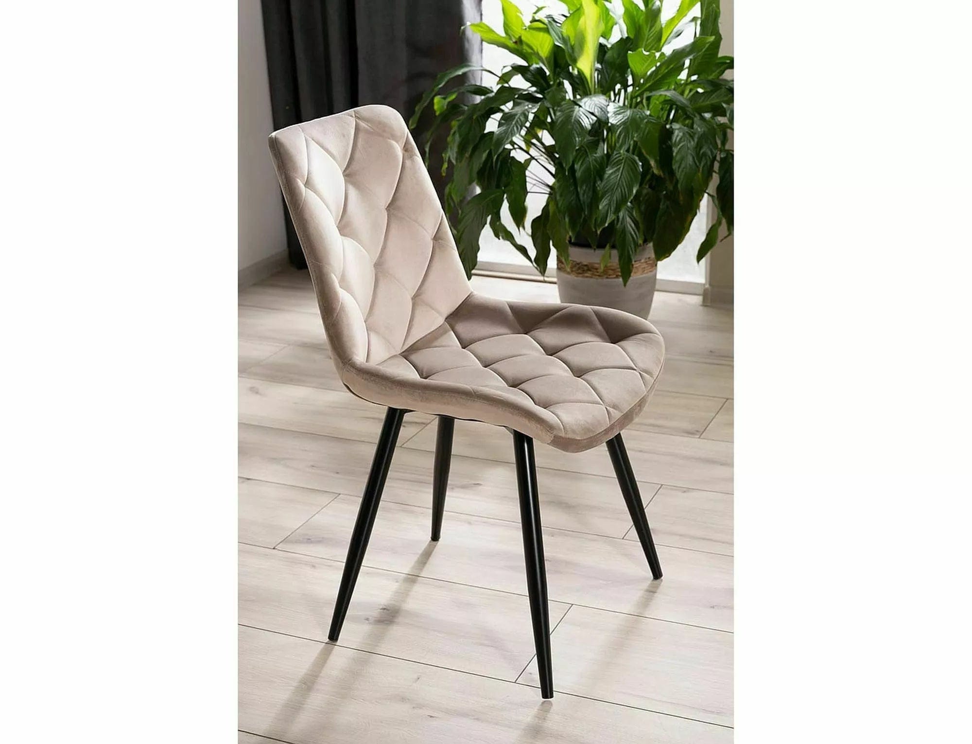 Sedia da pranzo in velluto Ralph Beige (2)