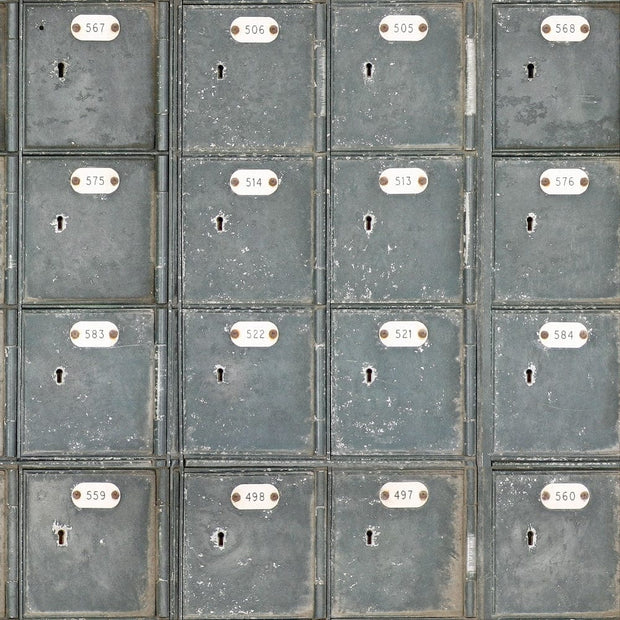 Set 3 rotoli Carta da parati stampata digitale per spogliatoio