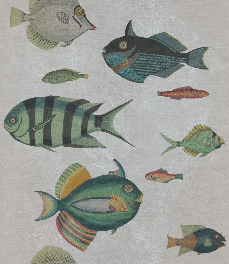Set 3 rotoli Carta da parati stampata in digitale Grigio pesce