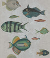 Set 3 rotoli Carta da parati stampata in digitale Grigio pesce