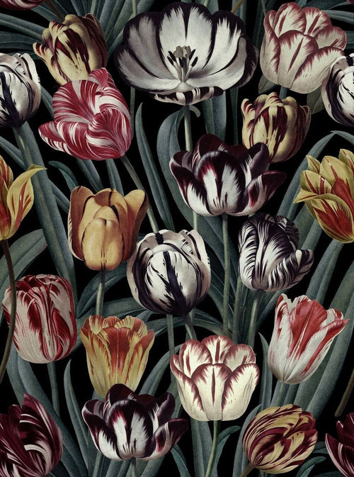Set 3 rotoli Carta da parati stampata in digitale Tulipa Dark