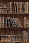 Set 3 rotoli carta da parati stampata scaffale libro digitale