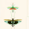 Set 3 rotoli Carta da parati stampata verde Entomologia digitale