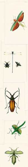 Set 3 rotoli Carta da parati stampata verde Entomologia digitale (4)