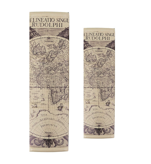 Set di 2 Cofanetto in forma di libro Astronomicarum Multicolore (1)
