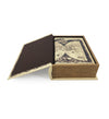 Set di 2 Cofanetto in forma di libro Astronomicarum Multicolore (4)