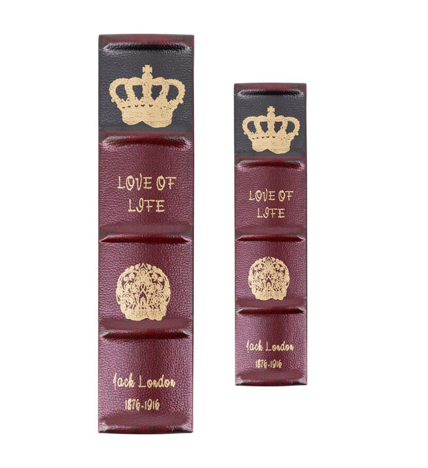 Set di 2 Cofanetto in forma di libro Love Of Life Multicolore (1)