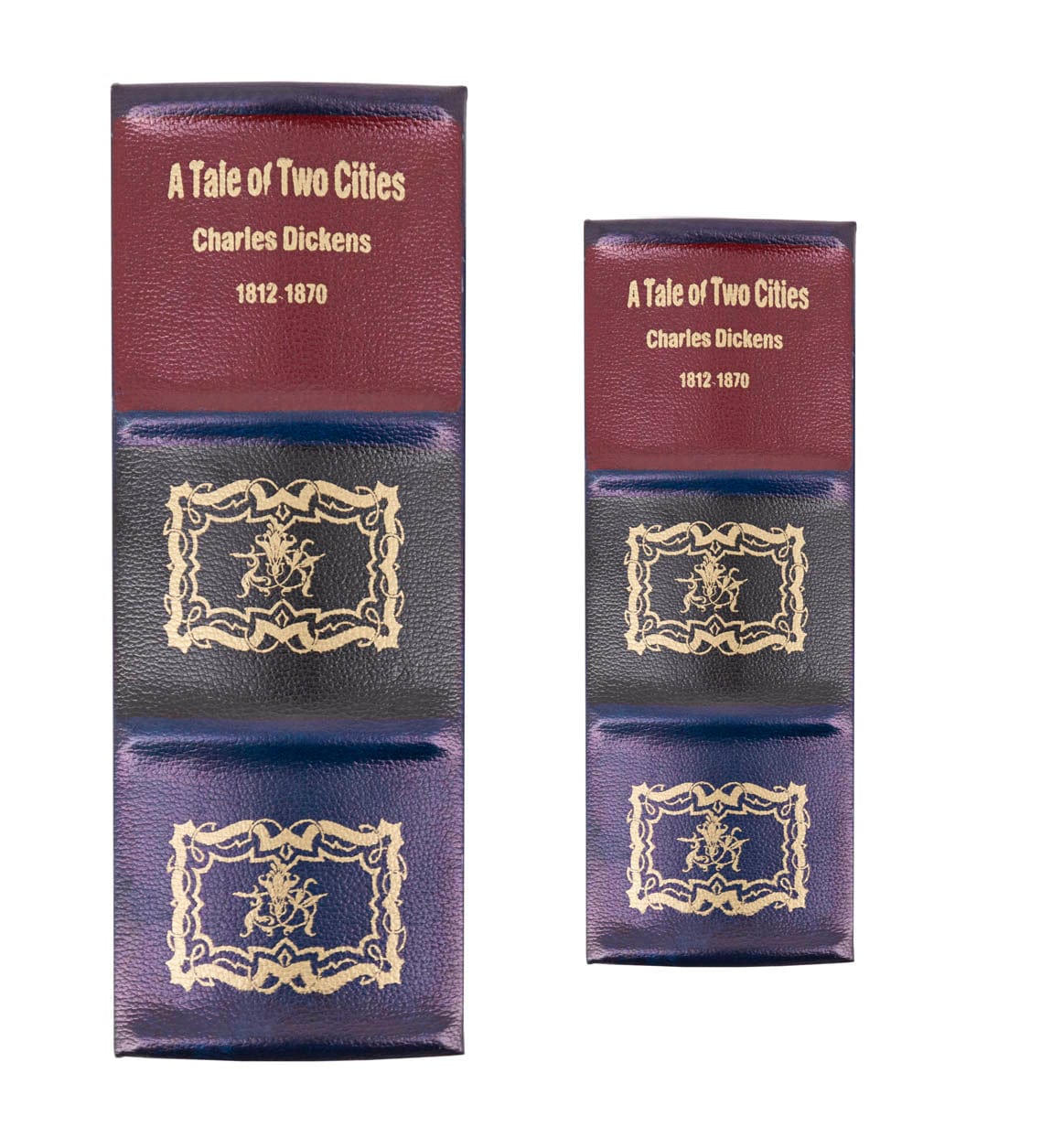 Set di 2 Cofanetto in forma di libro Tale Of Two Cities Multicolore (1)