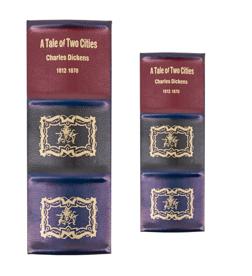 Set di 2 Cofanetto in forma di libro Tale Of Two Cities Multicolore (1)