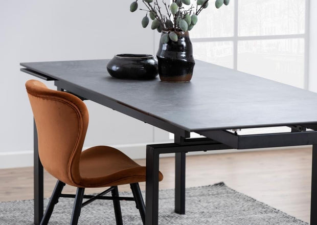 Set di 2 sedie da pranzo in velluto Batilda A-1 Marrone (3)