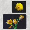 Set di 2 Tappetini da bagno antiscivolo Digital 48 Multicolore, 40 x 60 / 60 x 90 cm