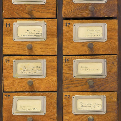 Set di 3 rotoli Carta da parati digitale stampata Apothecary