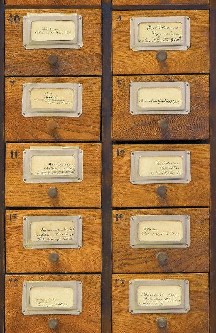 Set di 3 rotoli Carta da parati digitale stampata Apothecary (2)