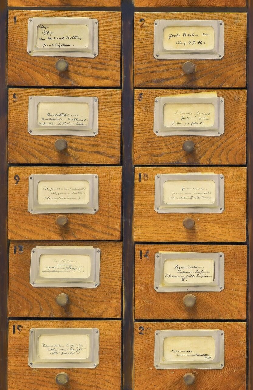 Set di 3 rotoli Carta da parati digitale stampata Apothecary (3)