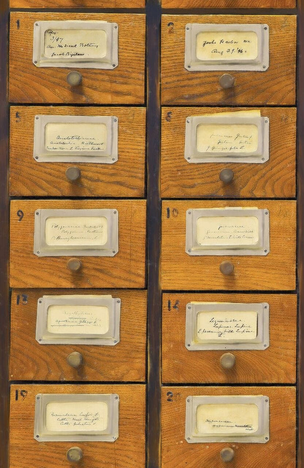 Set di 3 rotoli Carta da parati digitale stampata Apothecary (3)