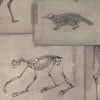Set di 3 rotoli Carta da parati digitale stampata Zooarchaeology