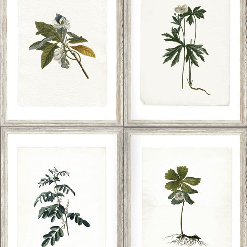 Set di 3 rotoli Carta da parati stampata Botanica digitale