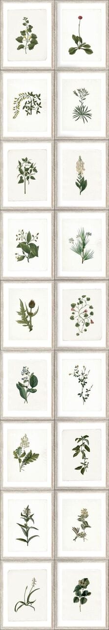 Set di 3 rotoli Carta da parati stampata Botanica digitale (2)