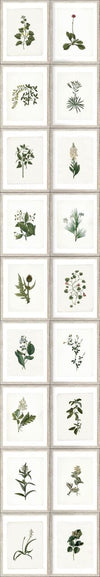 Set di 3 rotoli Carta da parati stampata Botanica digitale (2)