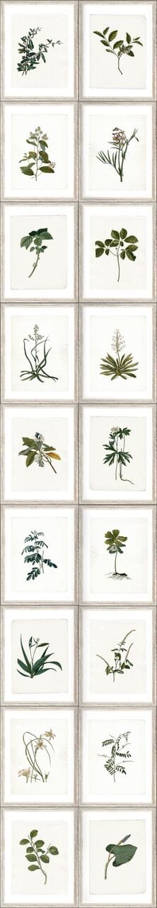 Set di 3 rotoli Carta da parati stampata Botanica digitale (3)