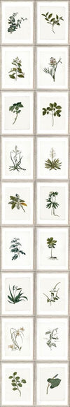 Set di 3 rotoli Carta da parati stampata Botanica digitale (3)