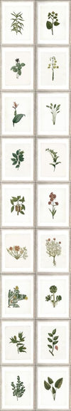Set di 3 rotoli Carta da parati stampata Botanica digitale (4)