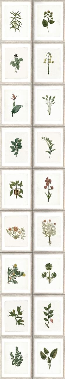 Set di 3 rotoli Carta da parati stampata Botanica digitale (4)