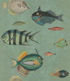 Set di 3 rotoli di carta da parati con stampa digitale di pesce