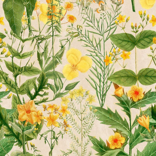 Set di 3 rotoli di carta da parati con stampa digitale Mimulus