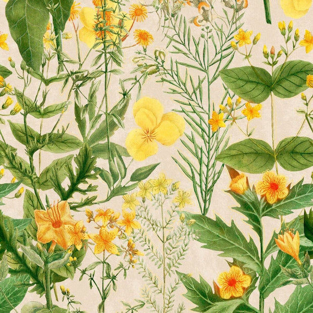 Set di 3 rotoli di carta da parati con stampa digitale Mimulus